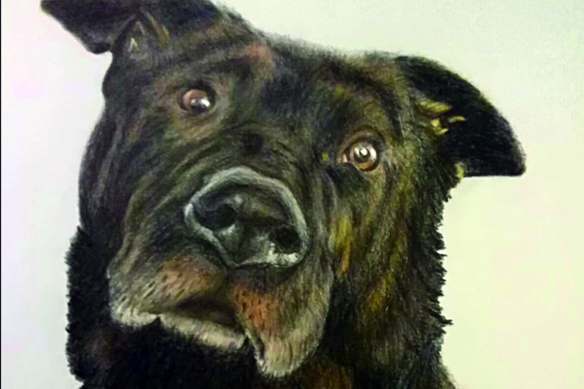 zeytin_son