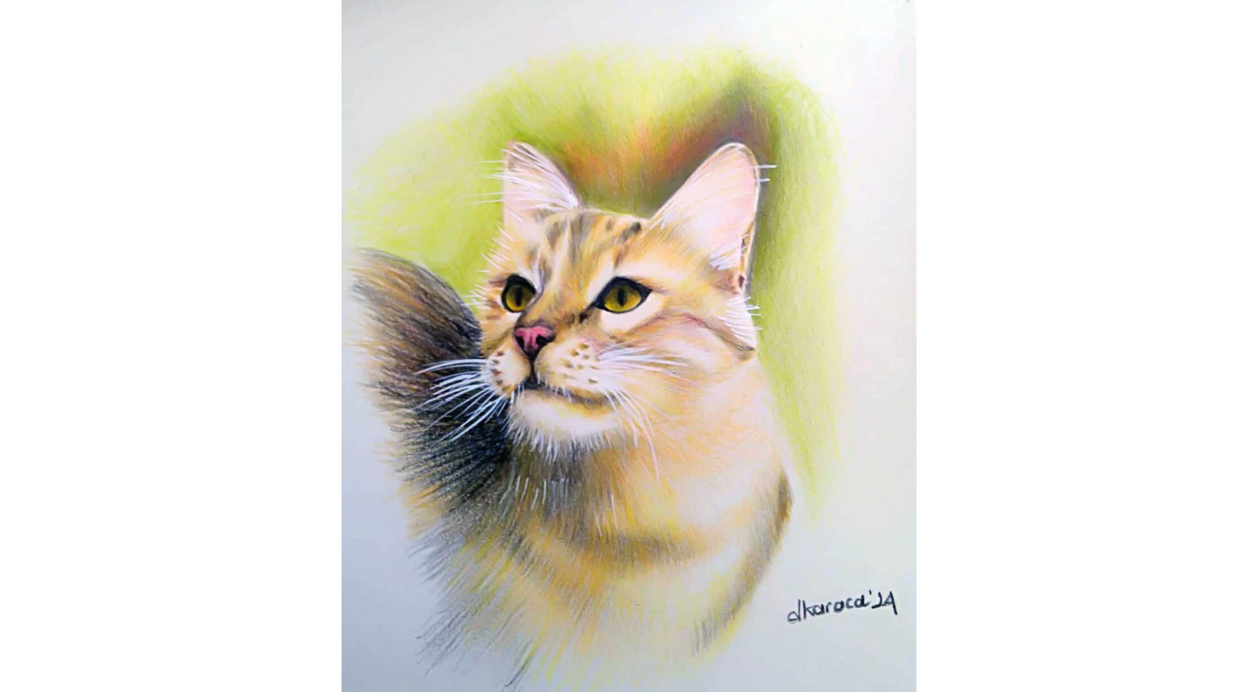 KEDİCİK